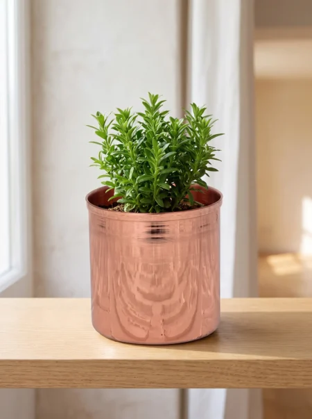 bahar-saksi-3-no-14-cm-duz-kirmizi-bb2566-1-sahne-1 El yapımı bakır ürün — Bahar Bakır Saksı 3 No 14 cm Düz Kırmızı — bitki yetiştirme ve iç mekân dekorasyonu — BakırBul