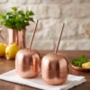 El yapımı bakır ürün — Bakır Apple Cocktail Pipetli Düz 250 ml 2'li Takım Kırmızı — soğuk içecek servisi — BakırBul