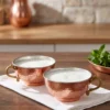 El yapımı bakır ürün — Pınarbaşı Bakır Ayran Tası Makine Dövme 500 ml 2'li Takım Kırmızı — ayran servisi — BakırBul